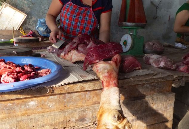 ha_giang_north_vietnam_059