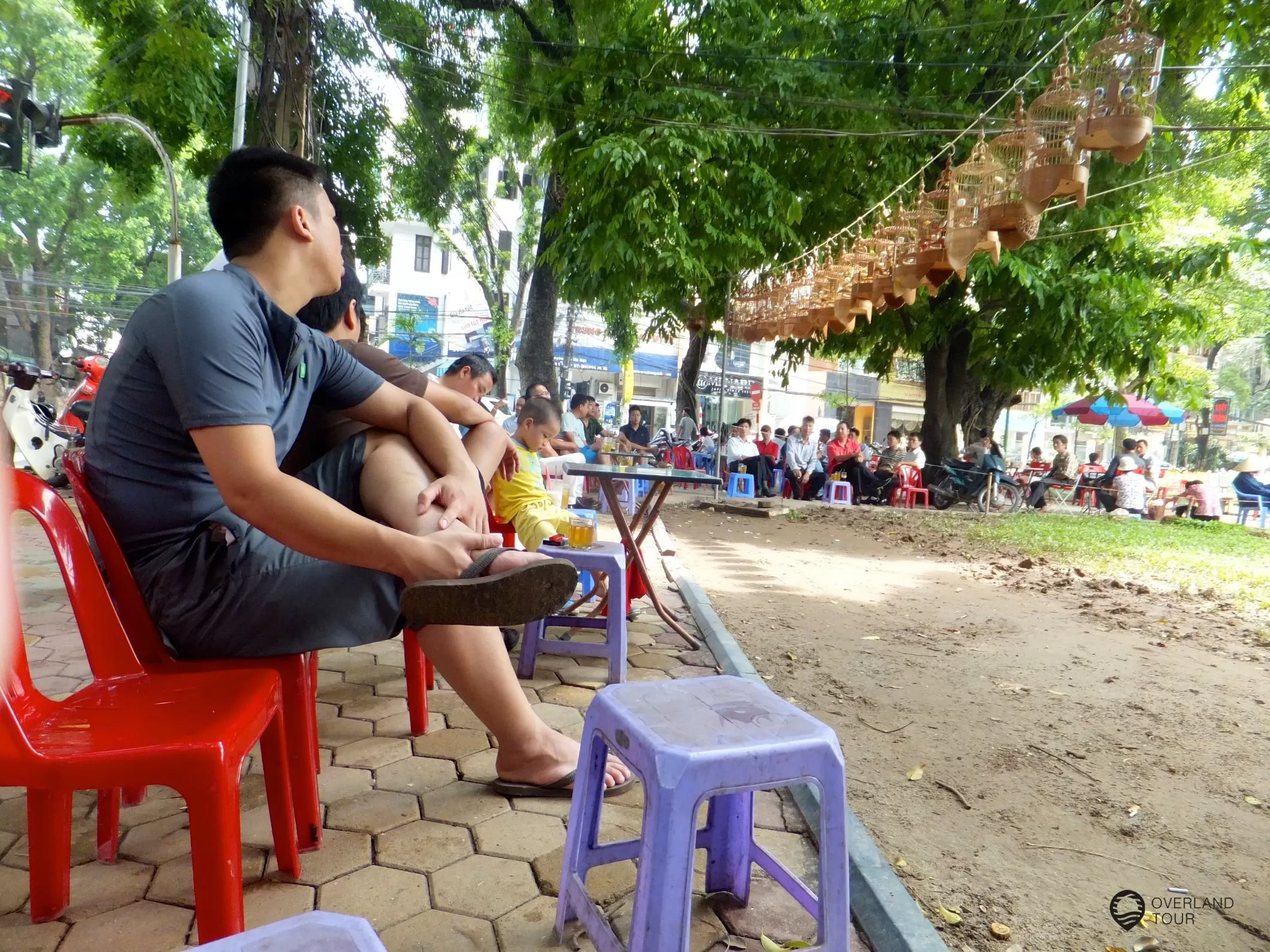 Das Zwitschern am See „Thien Quang Lake“ in Hanoi Das Zwitschern am See „Thien Quang Lake“ in Hanoi