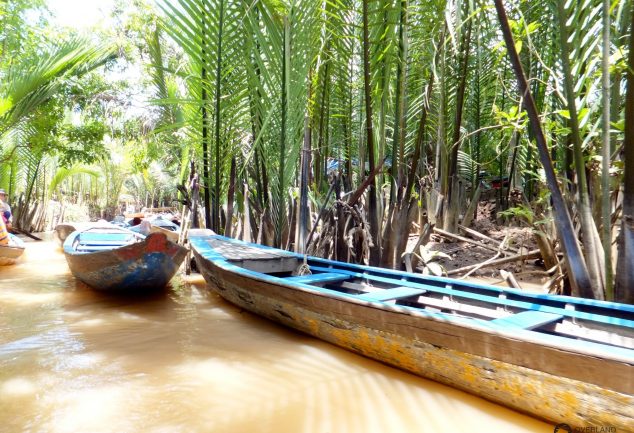 Auf einem Seitenarm des Mekong