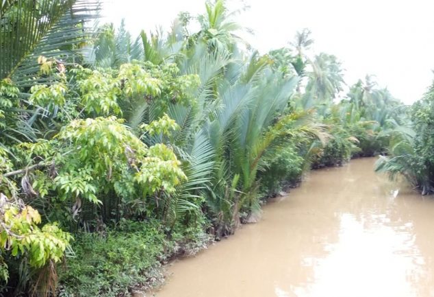 mekong_river_vietnam_021