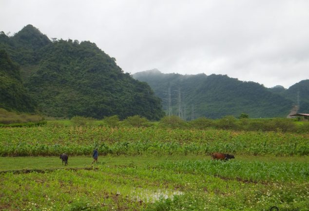 road_trip_part_1_north_vietnam_037