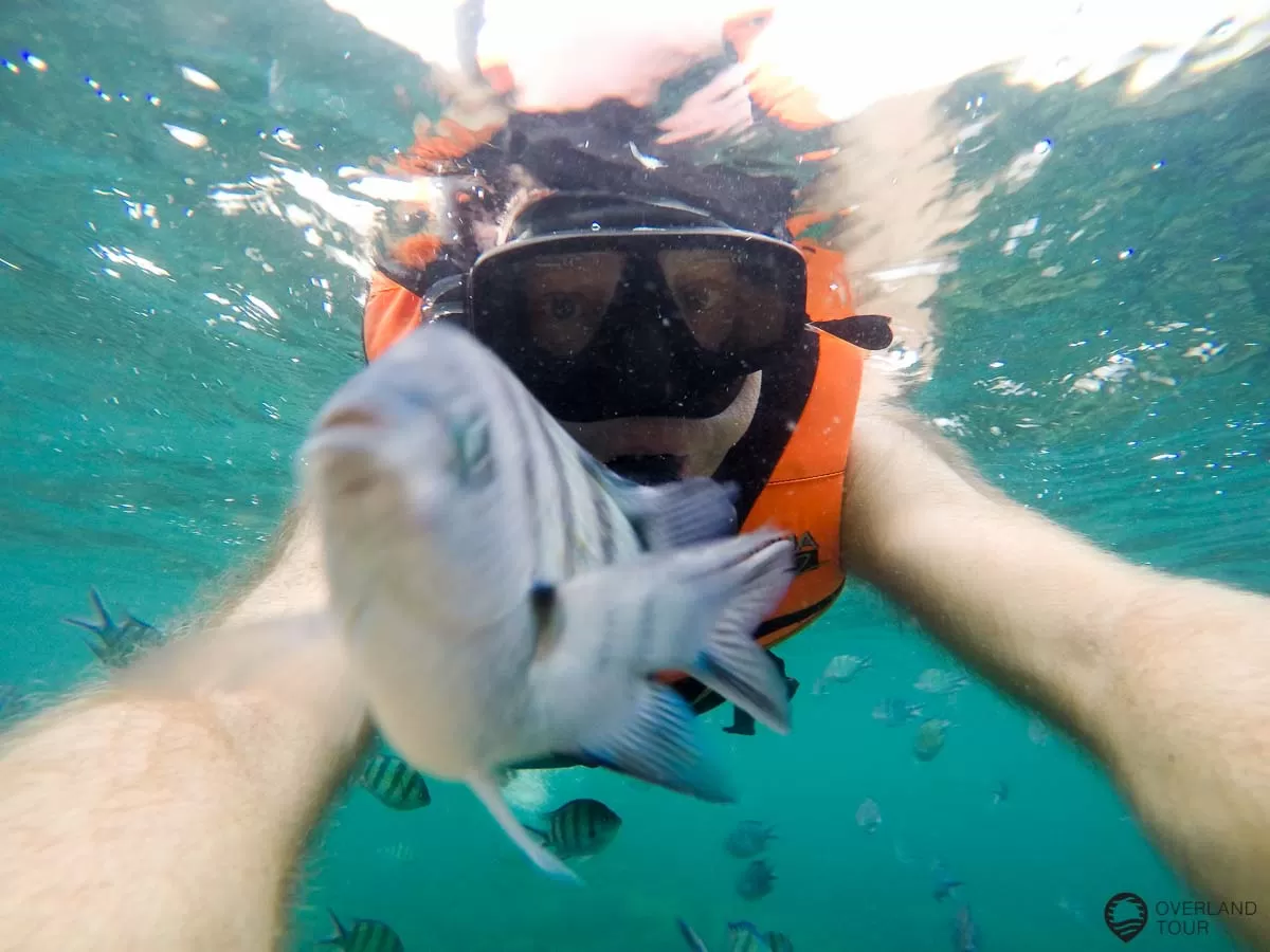Koh Samet – Thailand Schnorchel mit ein paar schuppigen Freunden