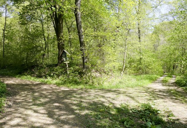 Der Kyffhäuser-Naturpark