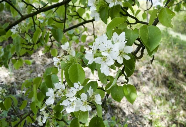 Der Kyffhäuser-Naturpark