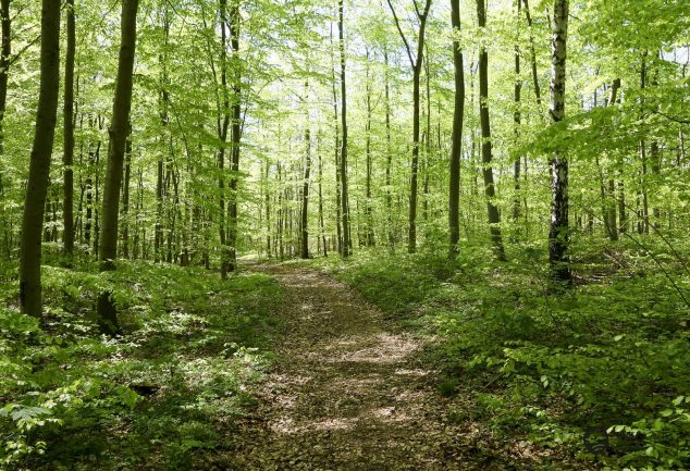 kyffhaeuser_naturpark-166