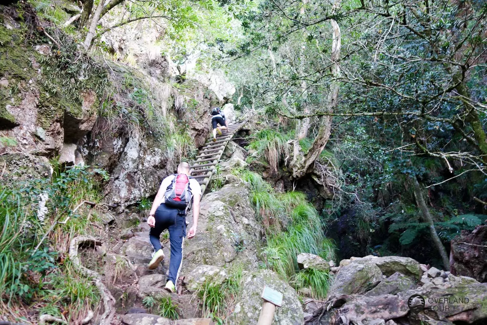 Skeleton Gorge Trail Skeleton Gorge Trail