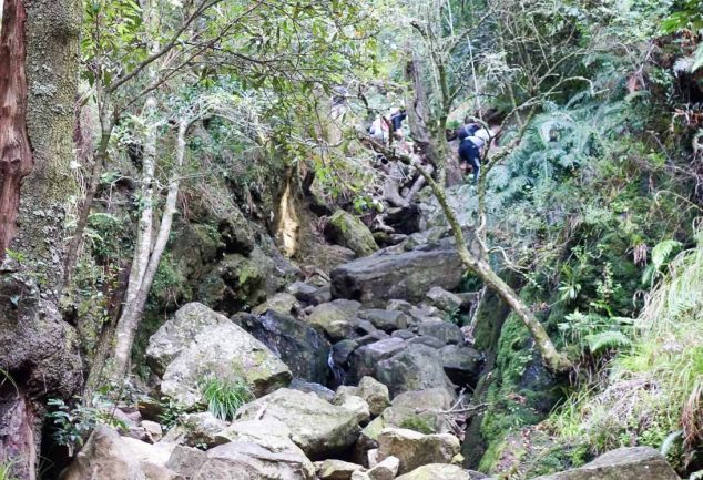 Skeleton Gorge Trail - Die Tafelberg Wanderung