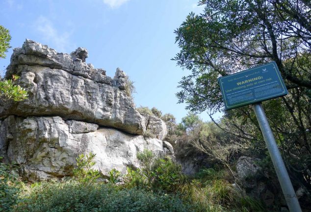 Skeleton Gorge Trail - Die Tafelberg Wanderung