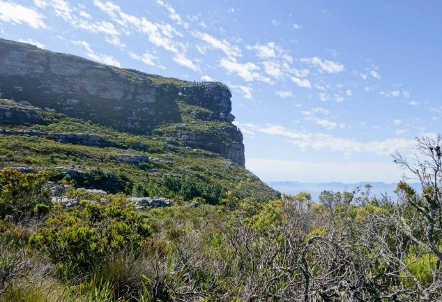 Skeleton Gorge Trail - Die Tafelberg Wanderung
