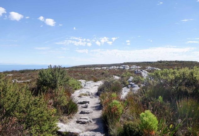 Skeleton Gorge Trail - Die Tafelberg Wanderung