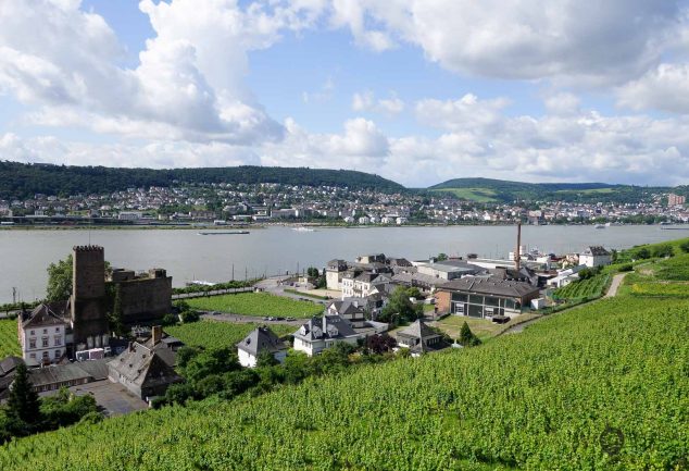 Ring Tour Rüdesheim - Assmanshausen - Bingen - Rüdesheim