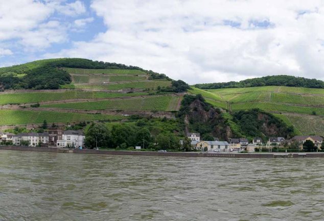 Ring Tour Rüdesheim - Assmanshausen - Bingen - Rüdesheim