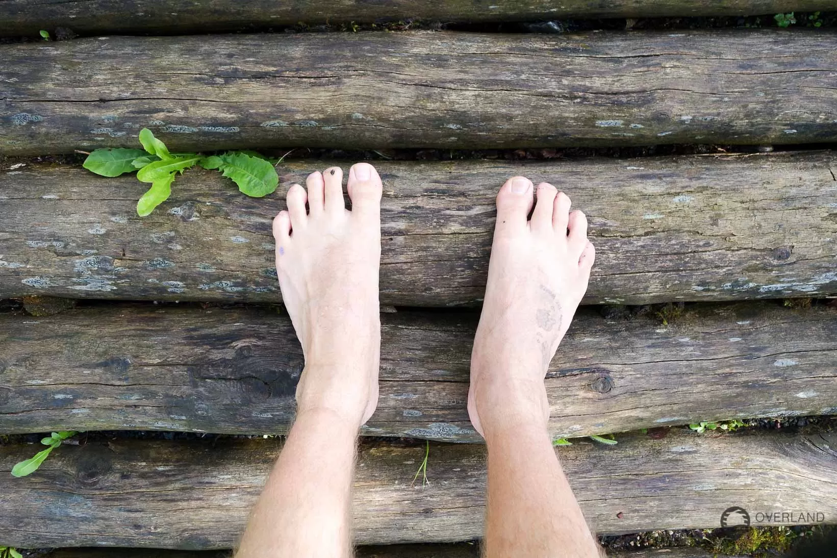 WanderMarathon durch den Westerwald Der Barfußpfad