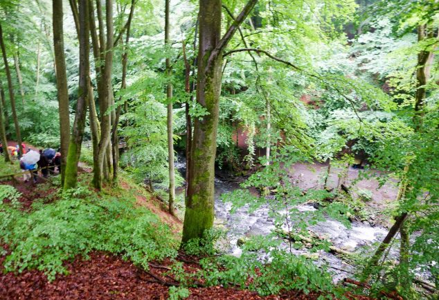 WanderMarathon durch den Westerwald