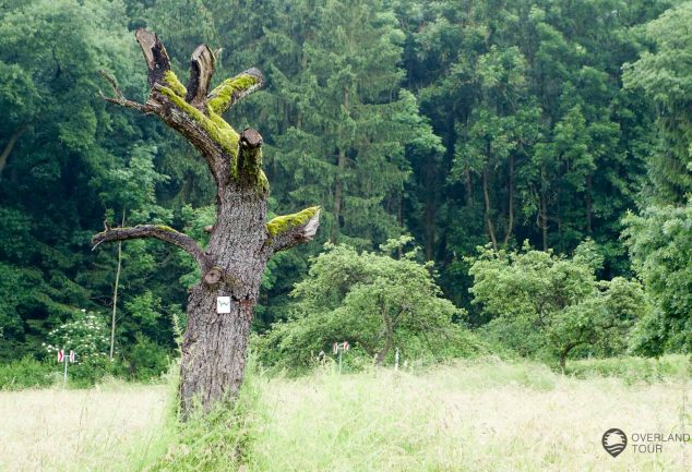 WanderMarathon durch den Westerwald
