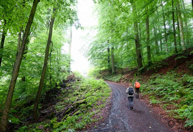 WanderMarathon durch den Westerwald