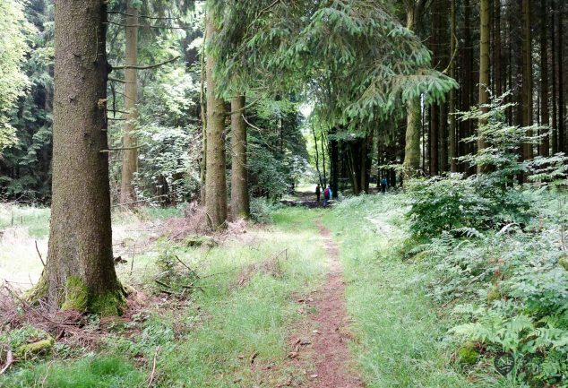 WanderMarathon durch den Westerwald