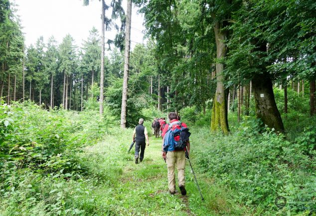 WanderMarathon durch den Westerwald