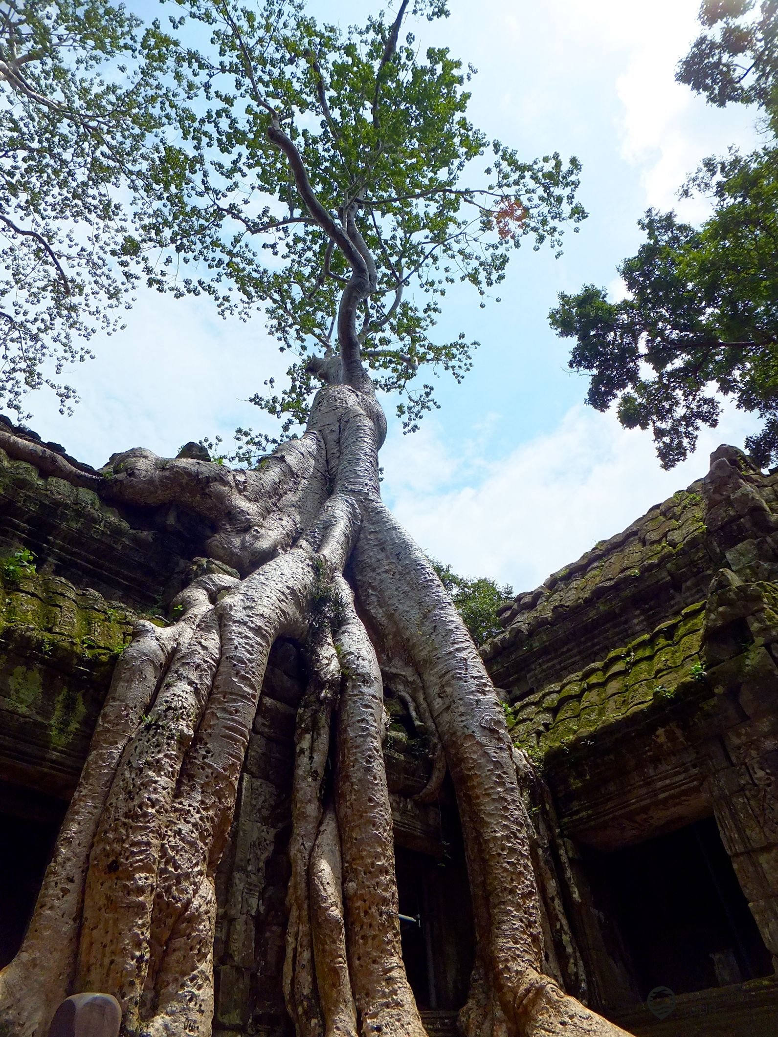 Die Ruinen von Angkor Wat
