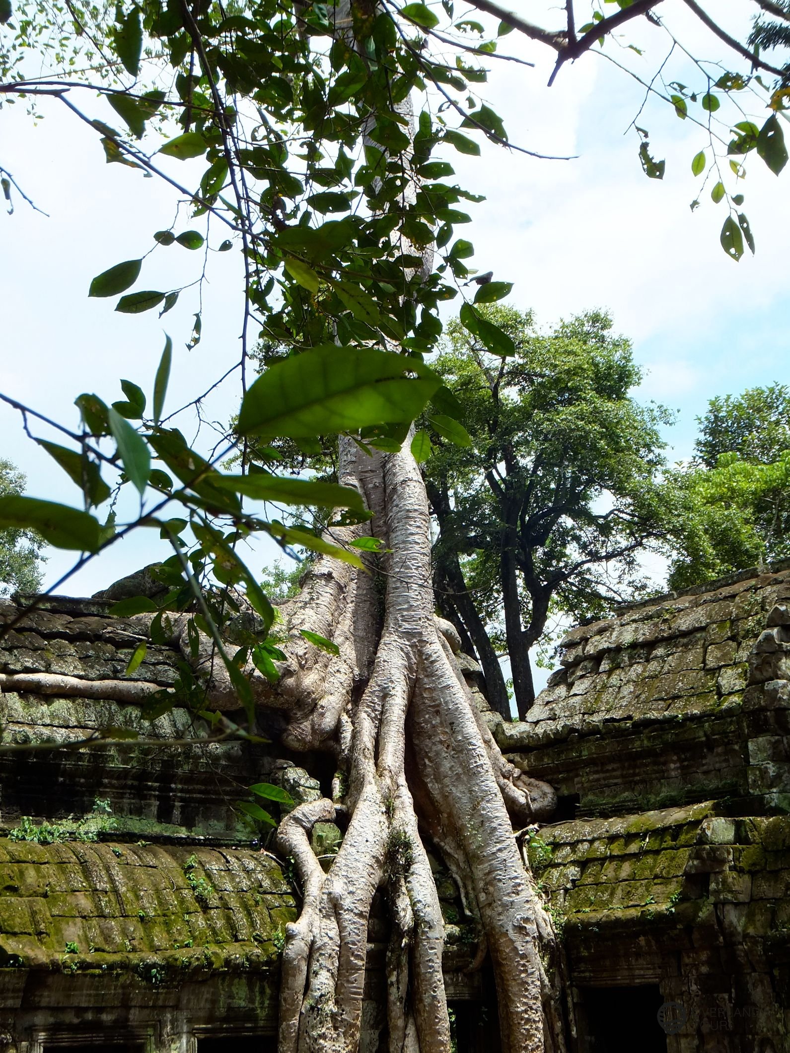 Die Ruinen von Angkor Wat