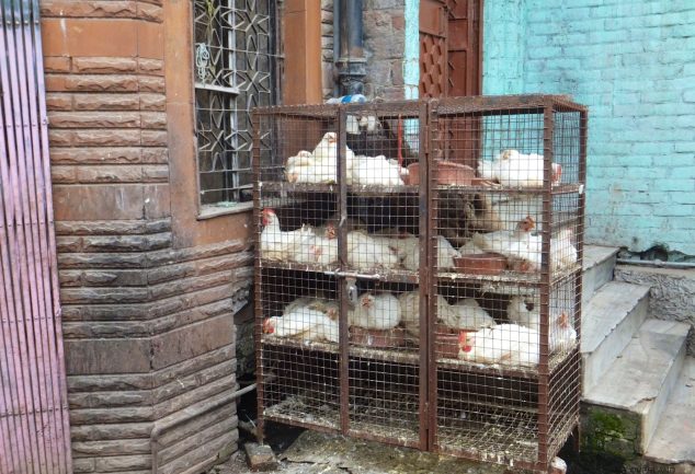 delhi_indien_037