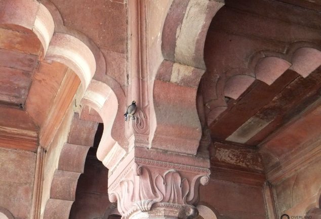 delhi_indien_065