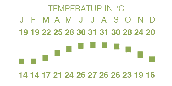 Diagramm der monatlichen Durchschnittstemperaturen in Hongkong in Grad Celsius