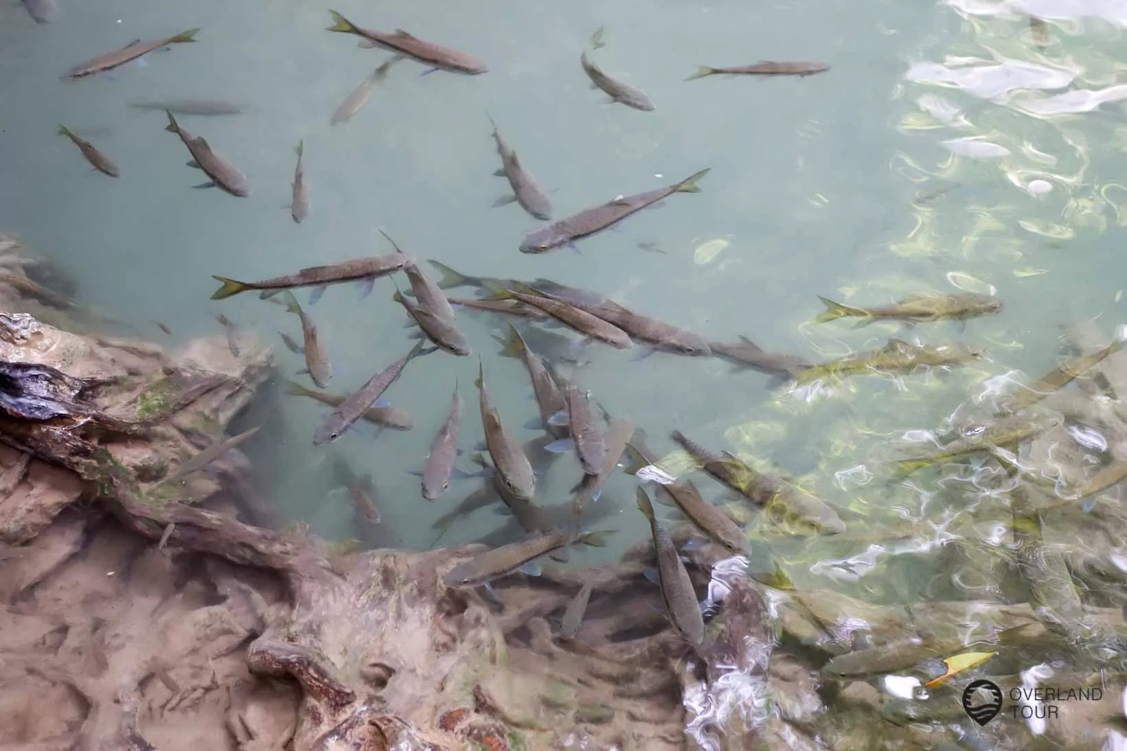 Erawan Wasserfällen Fish Spa - Erawan Wasserfällen