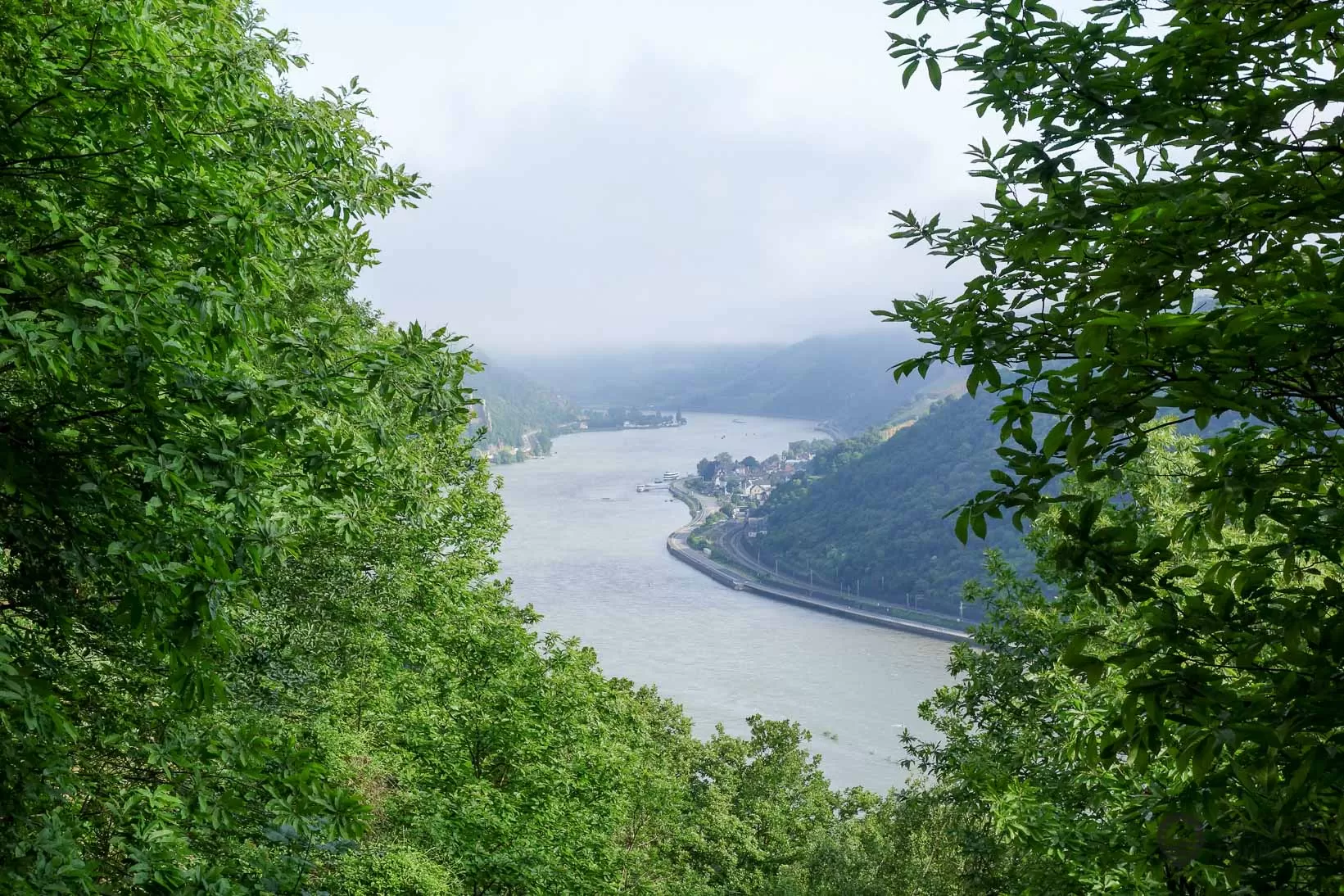 Auf dem Rheinburgenweg (Rheinsteig)