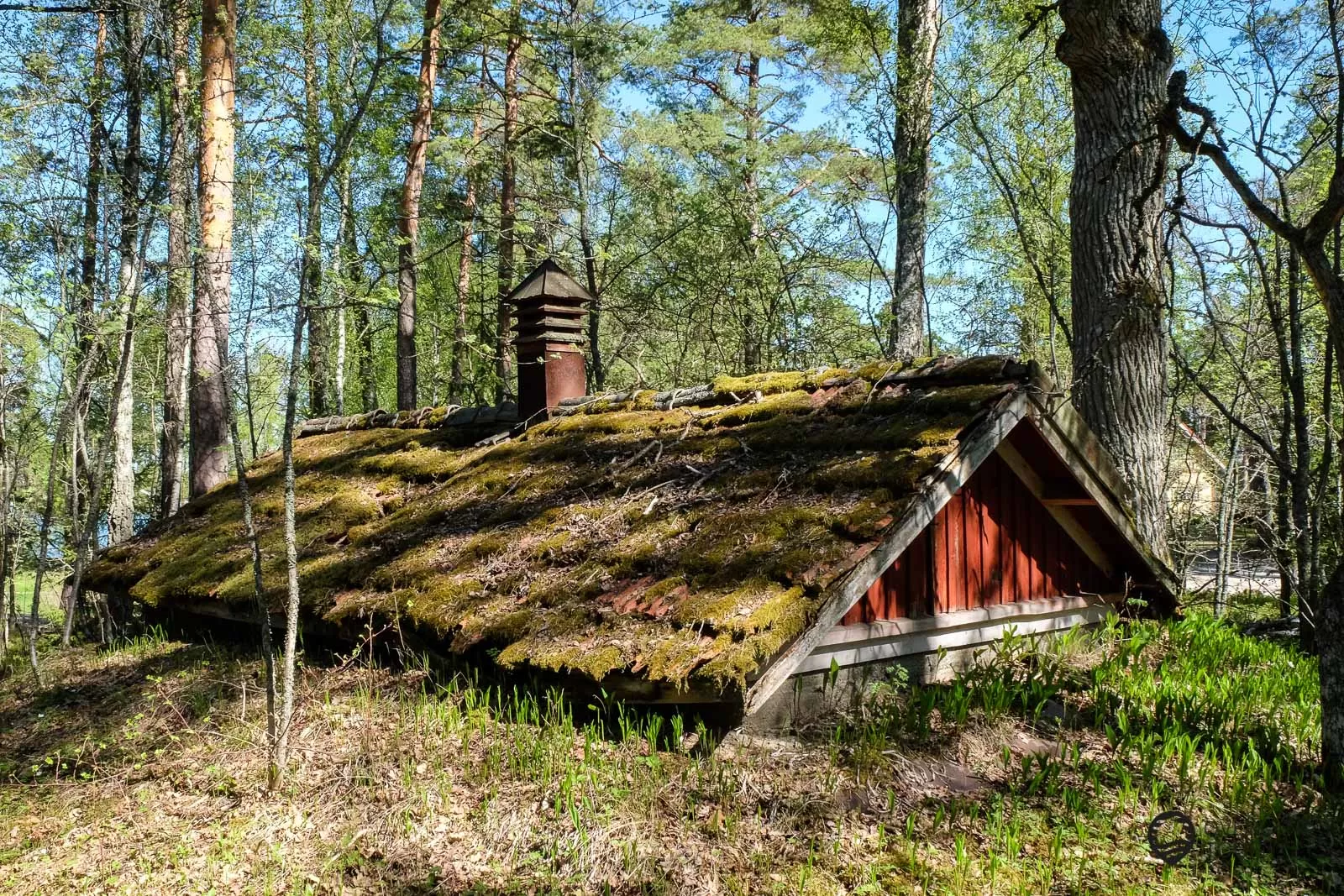Wandern auf Ruissalo Island