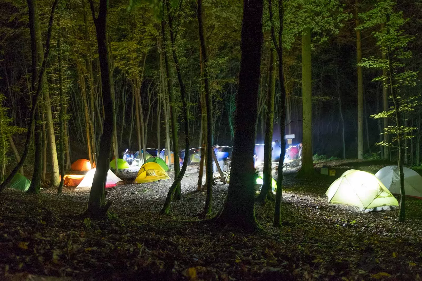 Bloggerwandern 2017 mit Rheinland-Pfalz Tourismus Nachts wenn der Wald zu leuchten beginnt