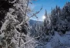 Winterwonderland Allgäu beim Haubers Alpenresort