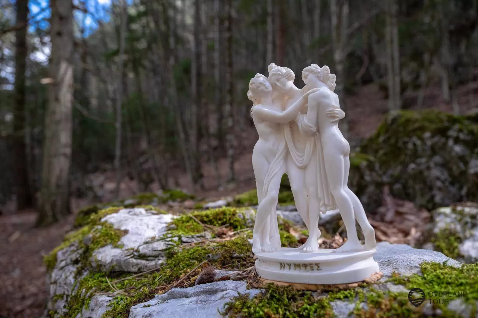 Beim Mount Olymp - Griechenland Ein kurzer Spaziergang durch den Wald