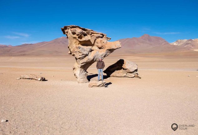 Der Árbol de Piedra oder auf Deutsch der Baum aus Stein ein Highlight in den bolivianischen Anden