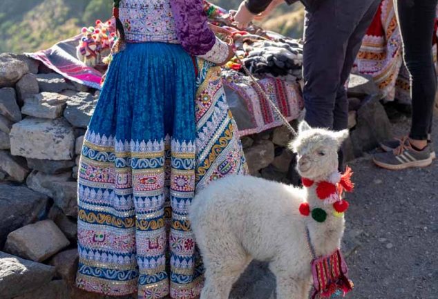 Arequipa - Der Colca Canyon, Raften und der beste Pisco Sour der Stadt