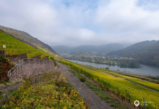 Wünschelrouten Wanderung am Moselsteig