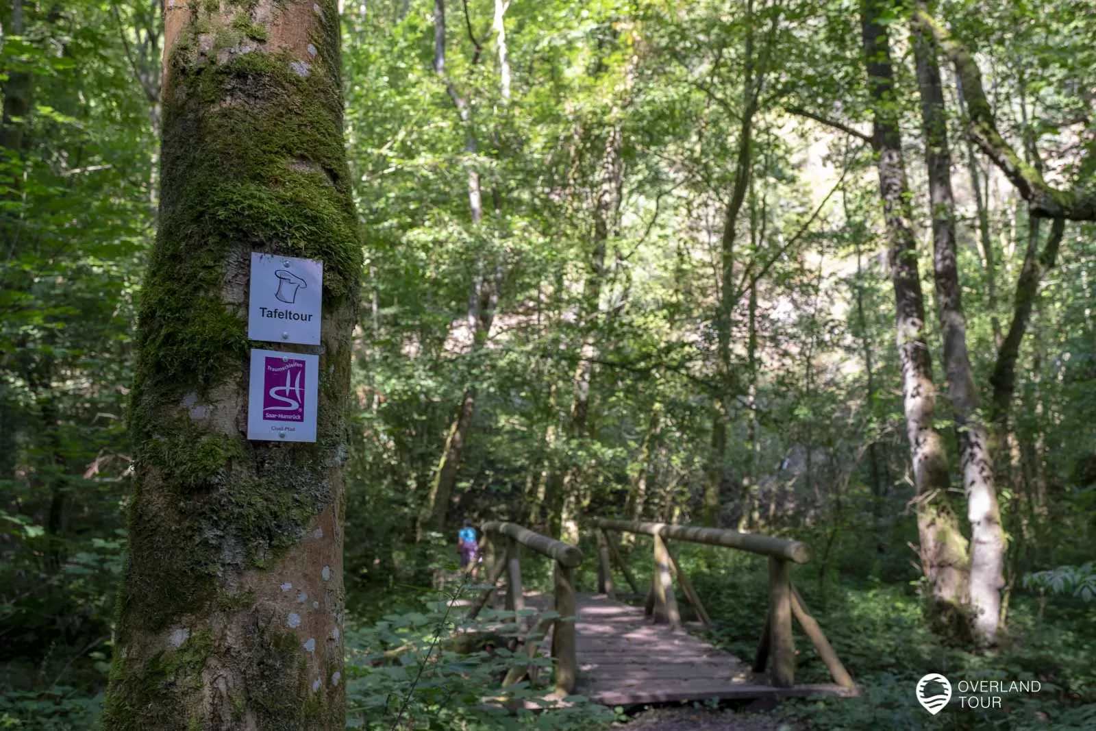 Saarschleife Mettlach – Die Tafeltour wandern inkl. Cloef Aussichtspunkt Saarschleife Mettlach – Die Tafeltour wandern inkl. Cloef Aussichtspunkt