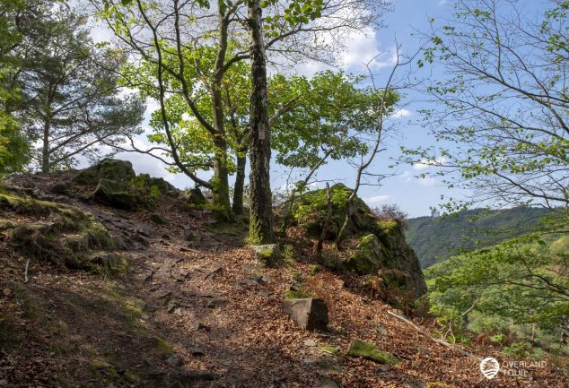 Saarschleife Mettlach – Die Tafeltour wandern inkl. Cloef Aussichtspunkt