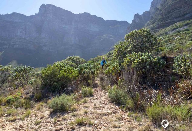 Kasteelspoort Wanderung – Der Tafelberg in Kapstadt ruft