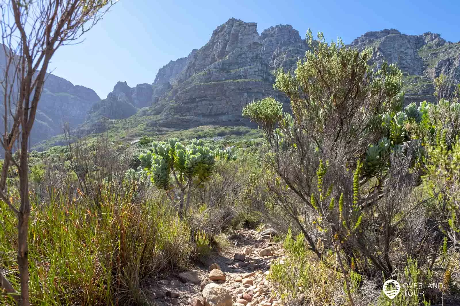 Kasteelspoort Wanderung – Der Tafelberg in Kapstadt ruft Kasteelspoort Wanderung – Der Tafelberg in Kapstadt ruft