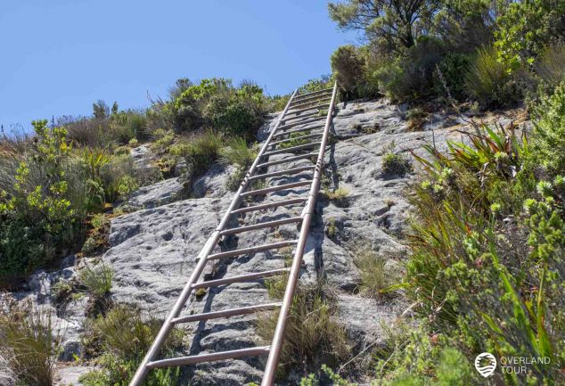 Kasteelspoort Wanderung – Der Tafelberg in Kapstadt ruft
