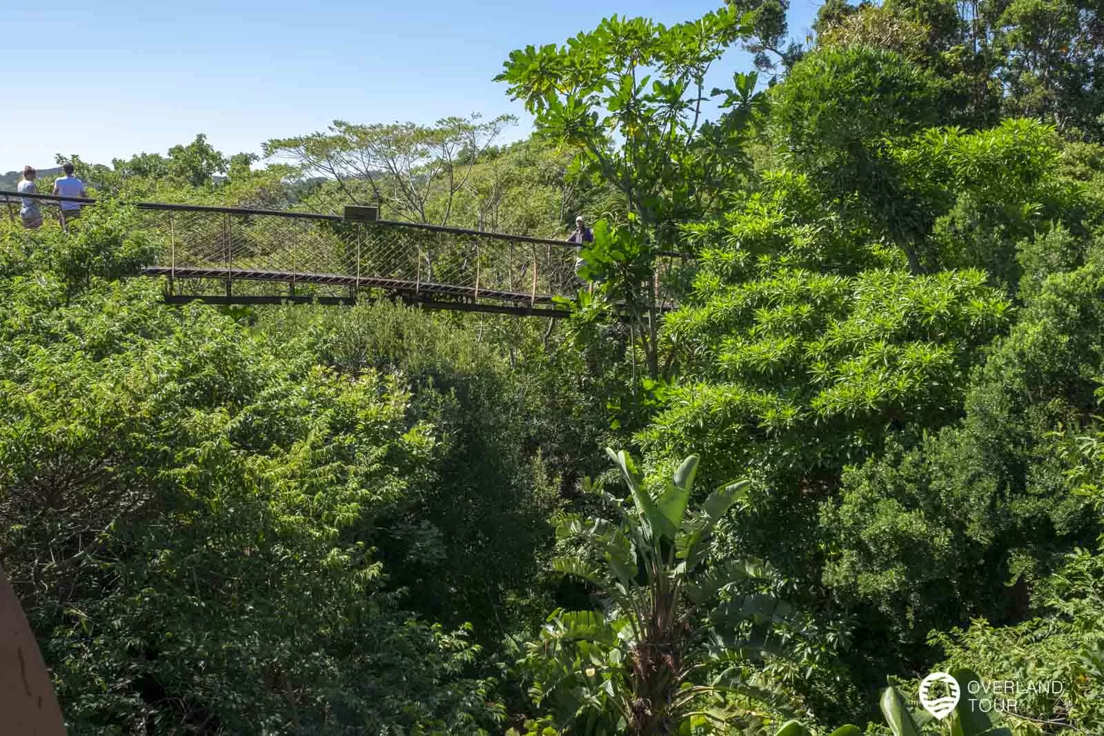 Botanischer Garten Kirstenbosch in Kapstadt Botanischer Garten Kirstenbosch in Kapstadt