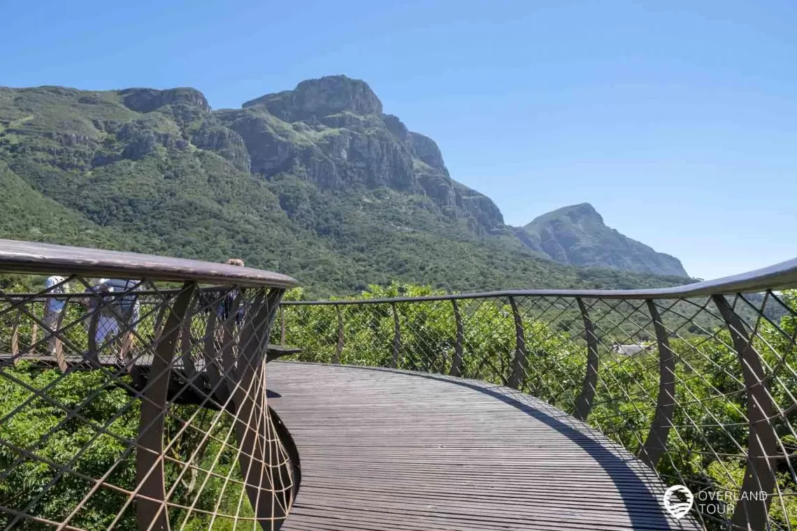 Botanischer Garten Kirstenbosch in Kapstadt
