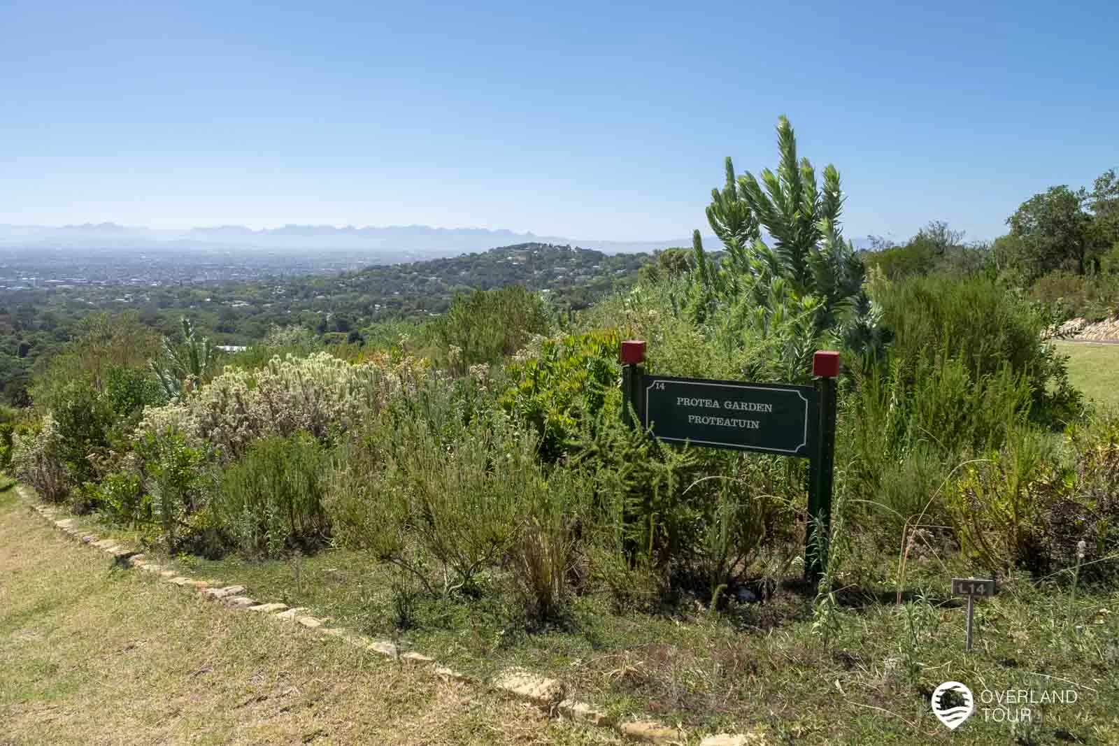 Botanischer Garten Kirstenbosch in Kapstadt Botanischer Garten Kirstenbosch in Kapstadt