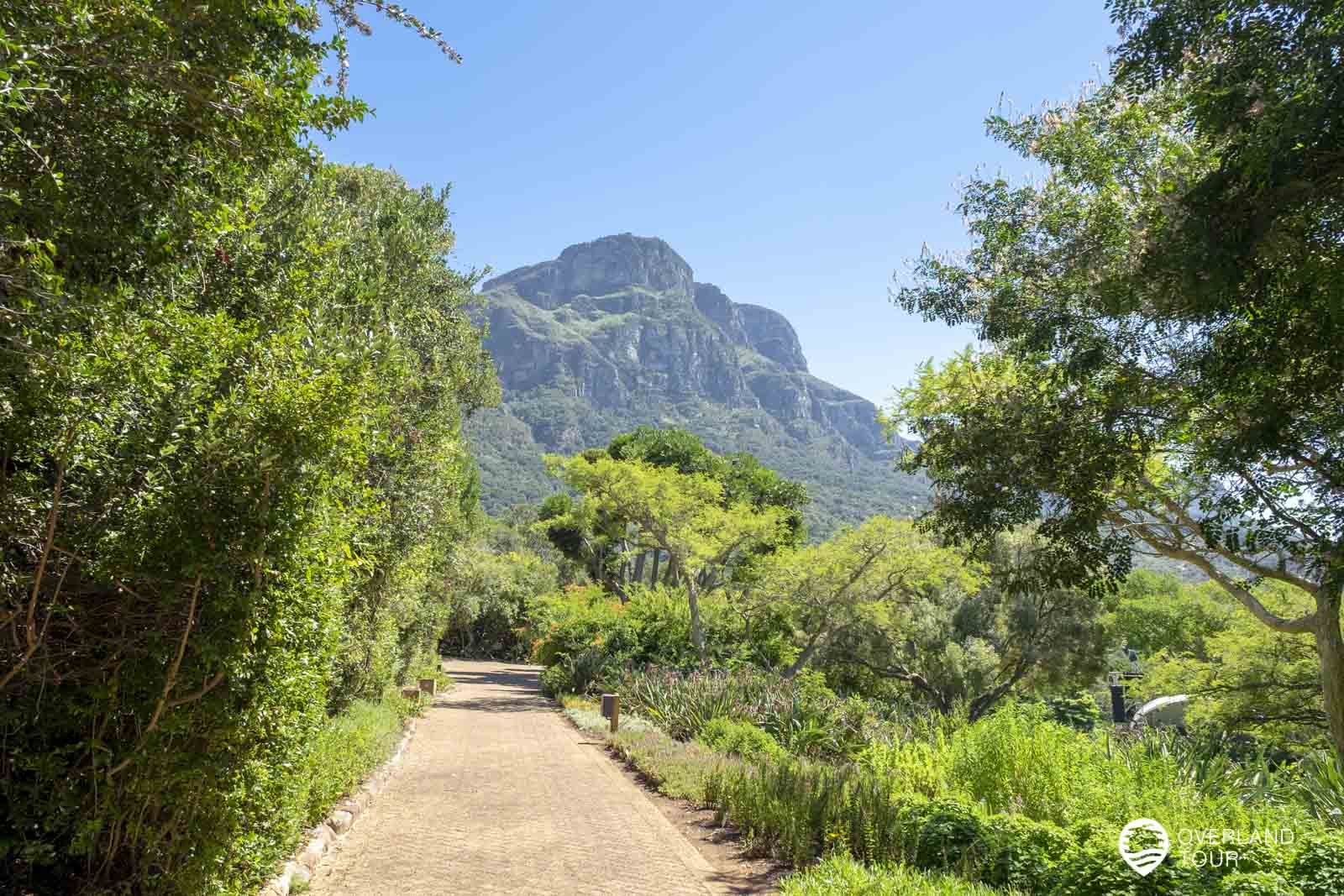 Botanischer Garten Kirstenbosch in Kapstadt | Overlandtour
