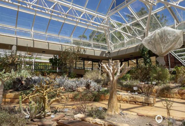 Botanischer Garten Kirstenbosch in Kapstadt
