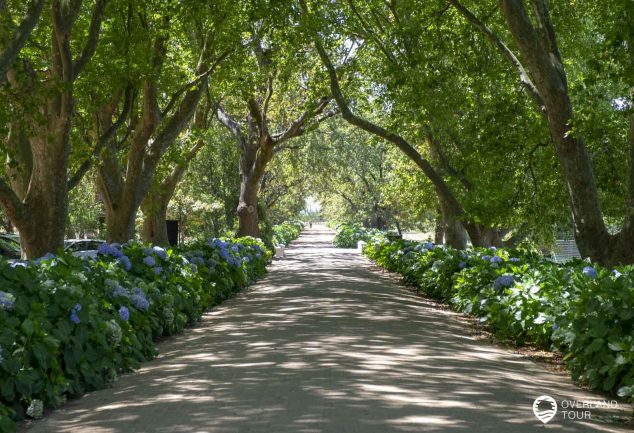 Die Franschhoek Wine Tram Tagestour von Kapstadt aus