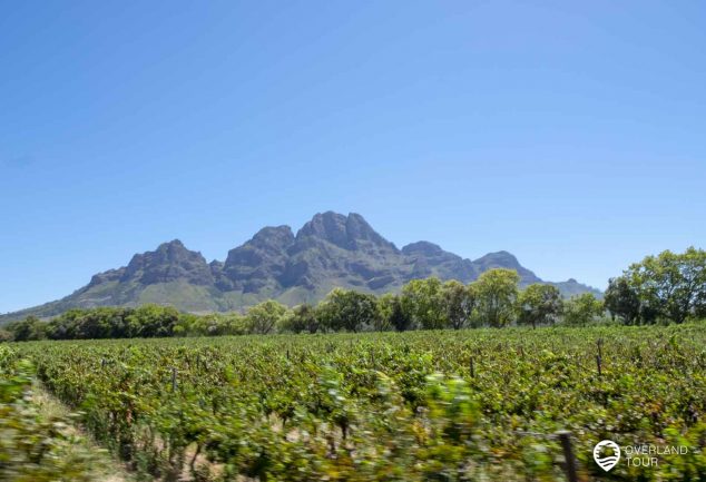 Die Franschhoek Wine Tram Tagestour von Kapstadt aus