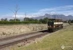 Die Franschhoek Wine Tram Tagestour von Kapstadt aus