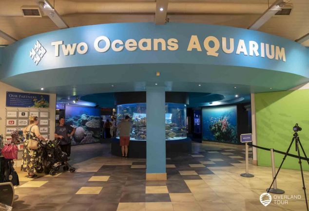 Das Two Oceans Aquarium in Kapstadt an der V&A Waterfront